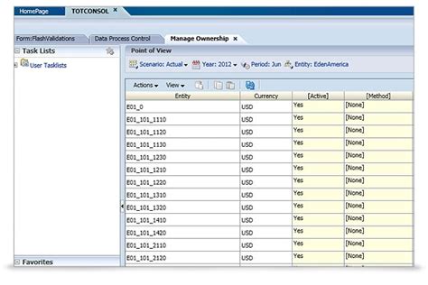 Oracle Hyperion Financial Management .